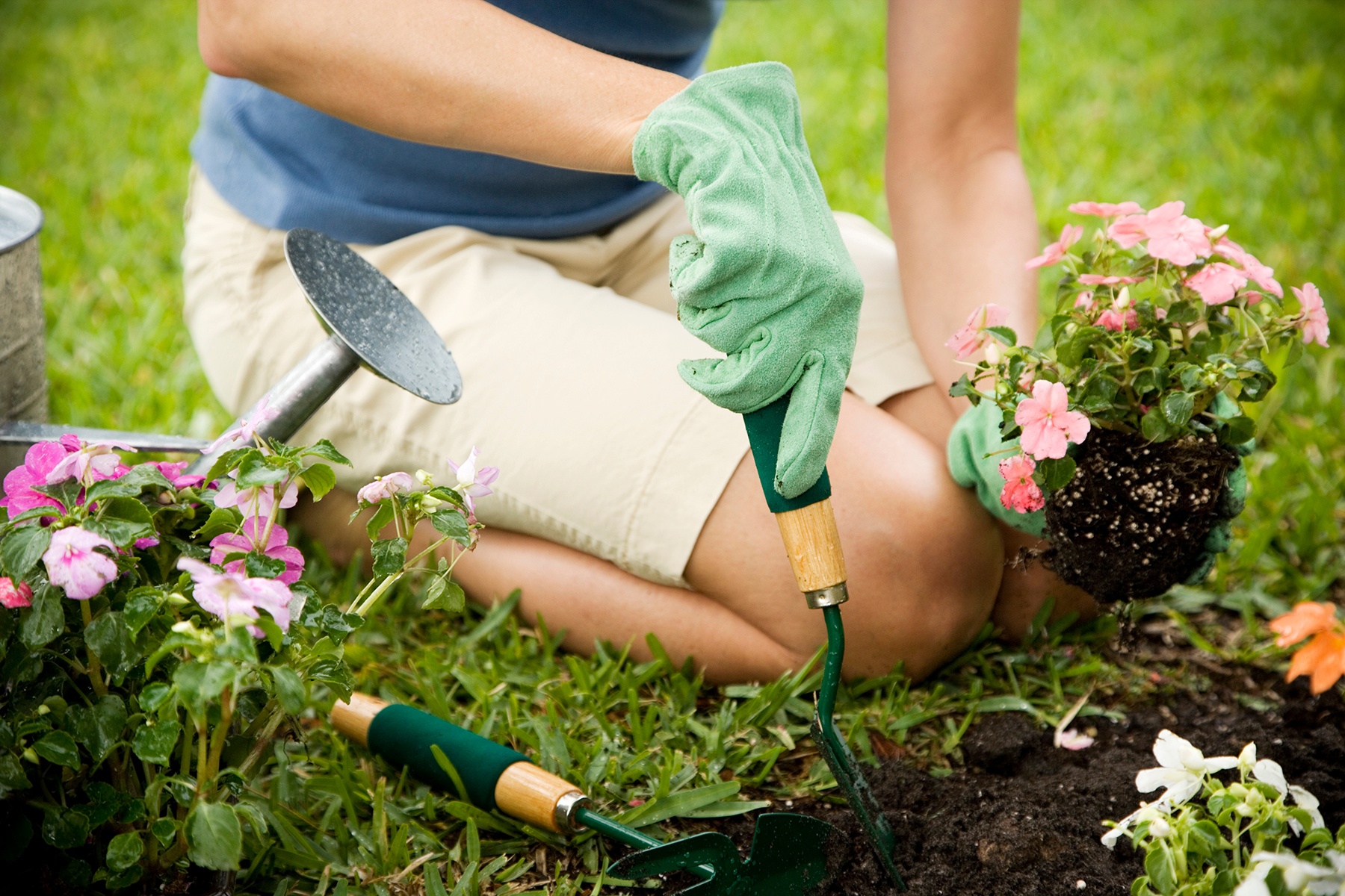 Maximising your garden during the spring season